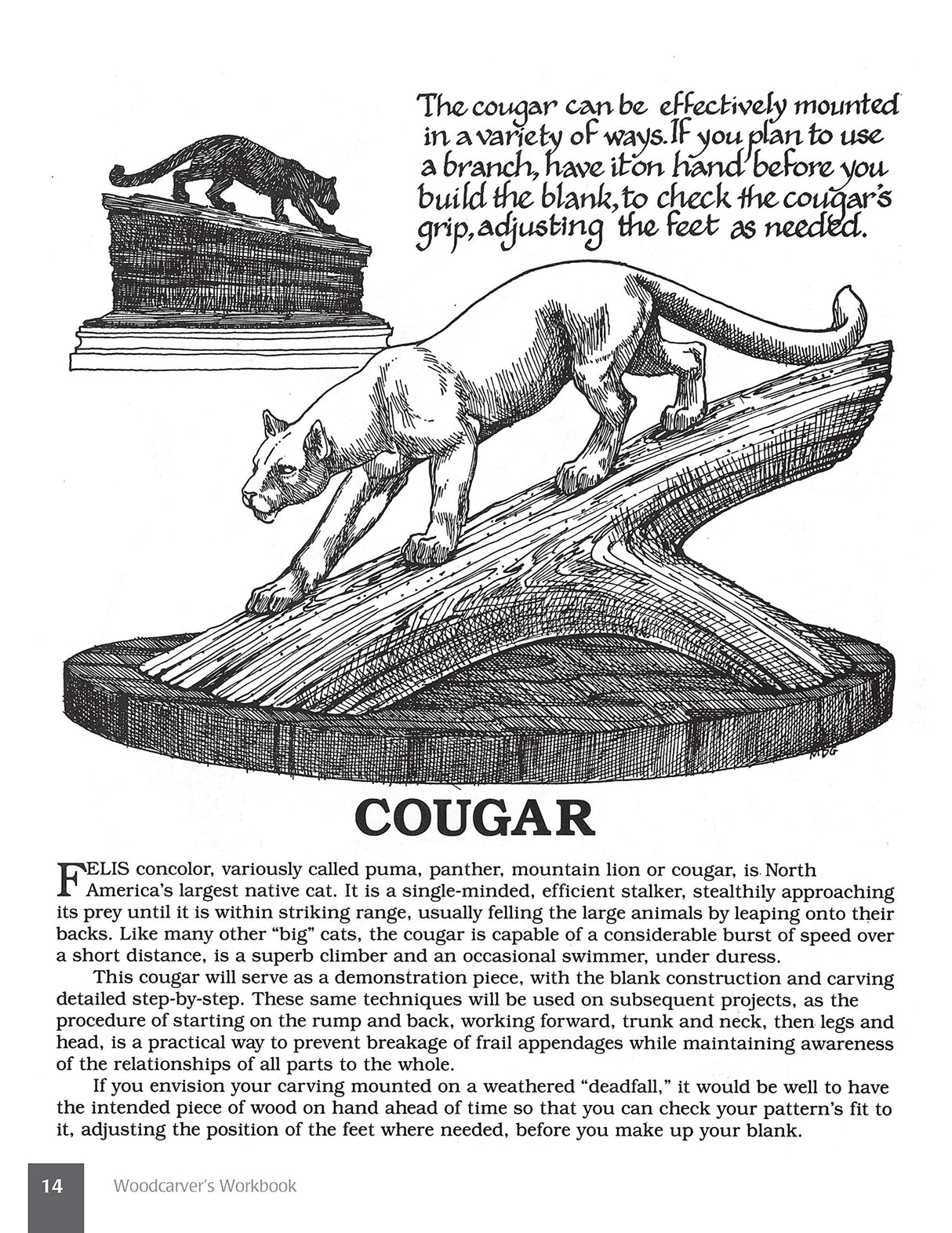 Woodcarver's Workbook: Two Volumes in One! (Fox Chapel Publishing) 16 Step-by-Step Woodcarving Projects with Illustrated Instructions, Patterns, Fox Chapel Publishing