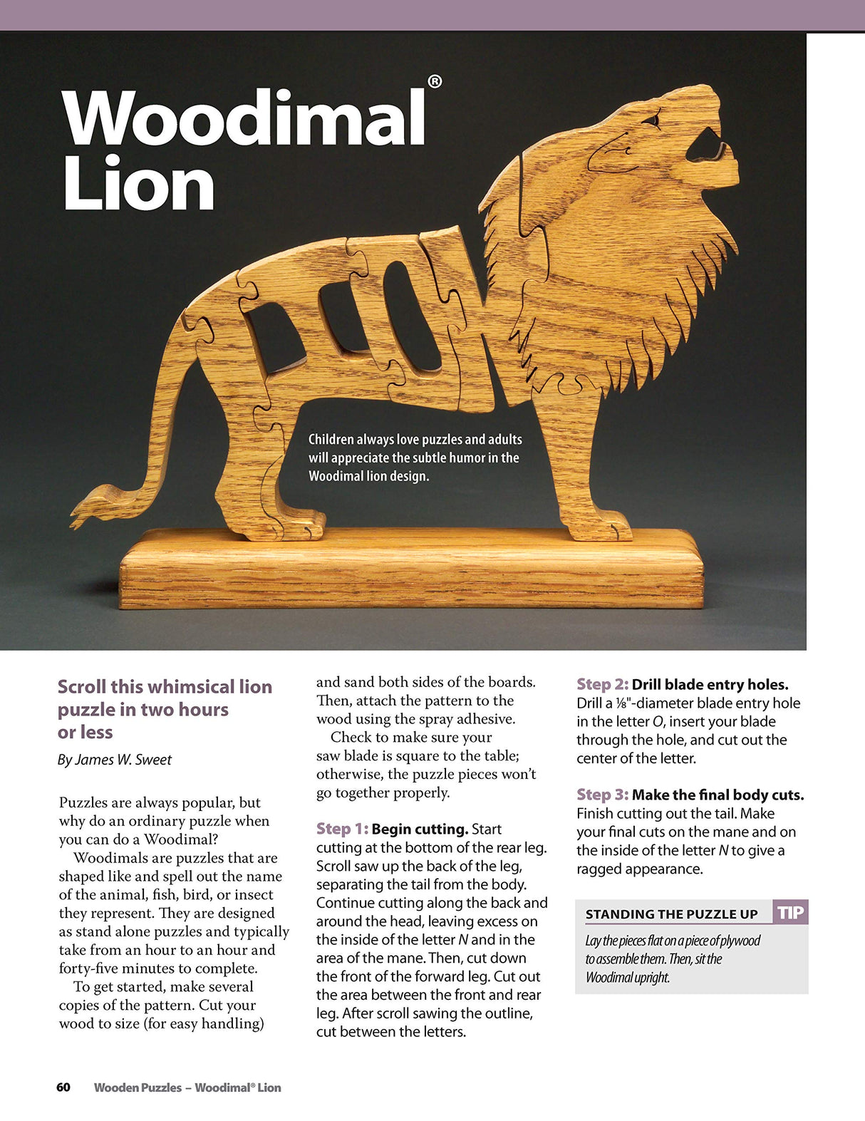 Wooden Puzzles: 31 Favorite Projects and Patterns (Fox Chapel Publishing) Includes Interlocking, Freestanding, Travel-Size, Nested Animals, 3D, Fox Chapel Publishing