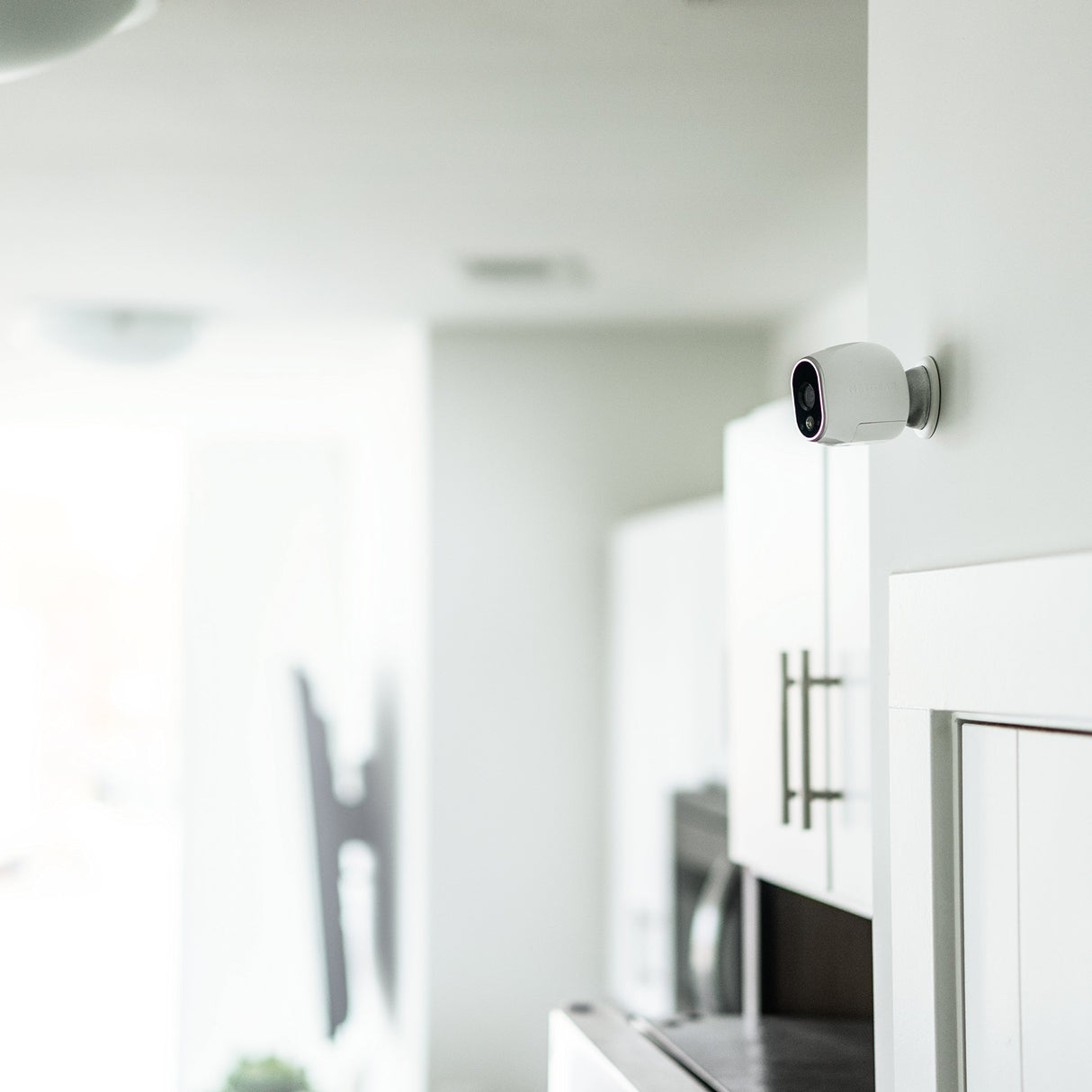 Arlo - Wireless Home Security | Night vision, Indoor/Outdoor, HD Video, Wall Mount | Includes Cloud Storage & Required Base Station | 1-Camera System Arlo