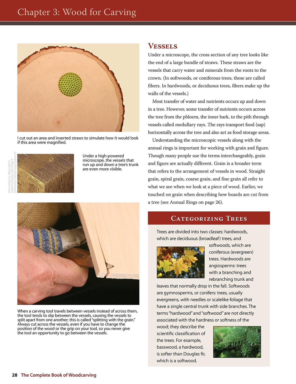 The Complete Book of Woodcarving: Everything You Need to Know to Master the Craft (Fox Chapel Publishing) Comprehensive Guide with Expert Design Originals