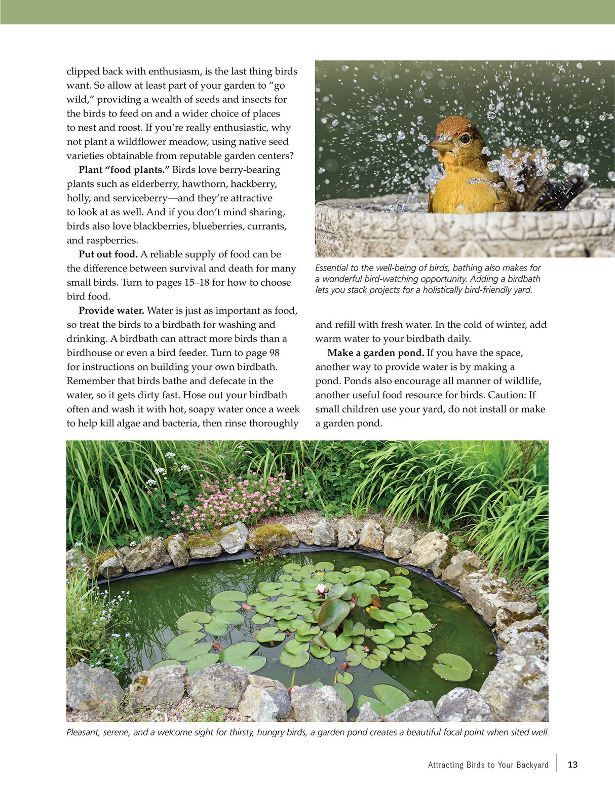 Birdhouses, Boxes & Feeders for the Backyard Hobbyist: 19 Fun-to-Build Projects for Attracting Birds to Your Backyard (Fox Chapel Publishing) Fox Chapel Publishing