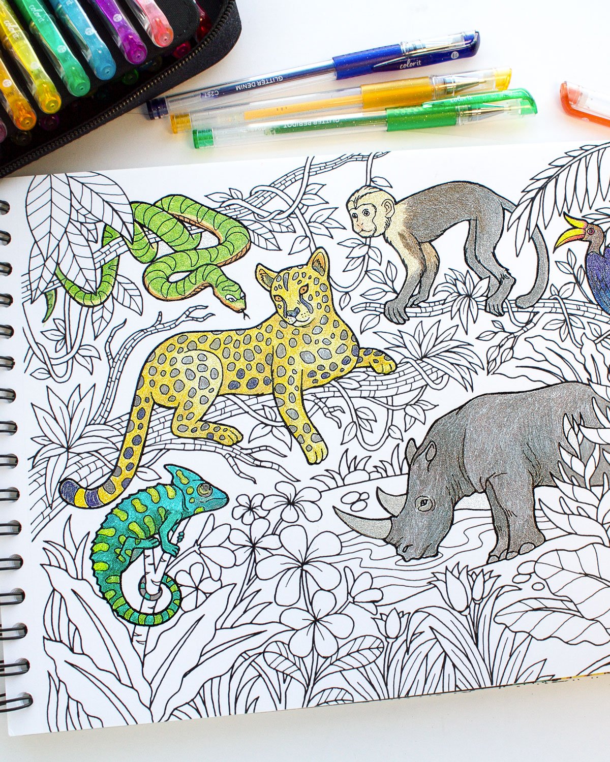 Blissful Scenes Adult Coloring Book - Features 50 Original Hand Drawn Designs Printed on Artist Quality Paper, Hardback Covers, Spiral Binding, ColorIt