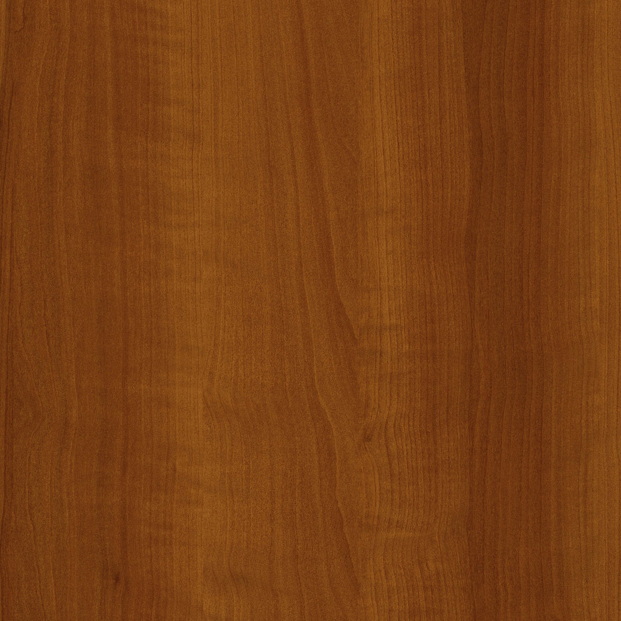 South Shore Tall 2-Door Storage Cabinet with Adjustable Shelves, Solid Black South Shore