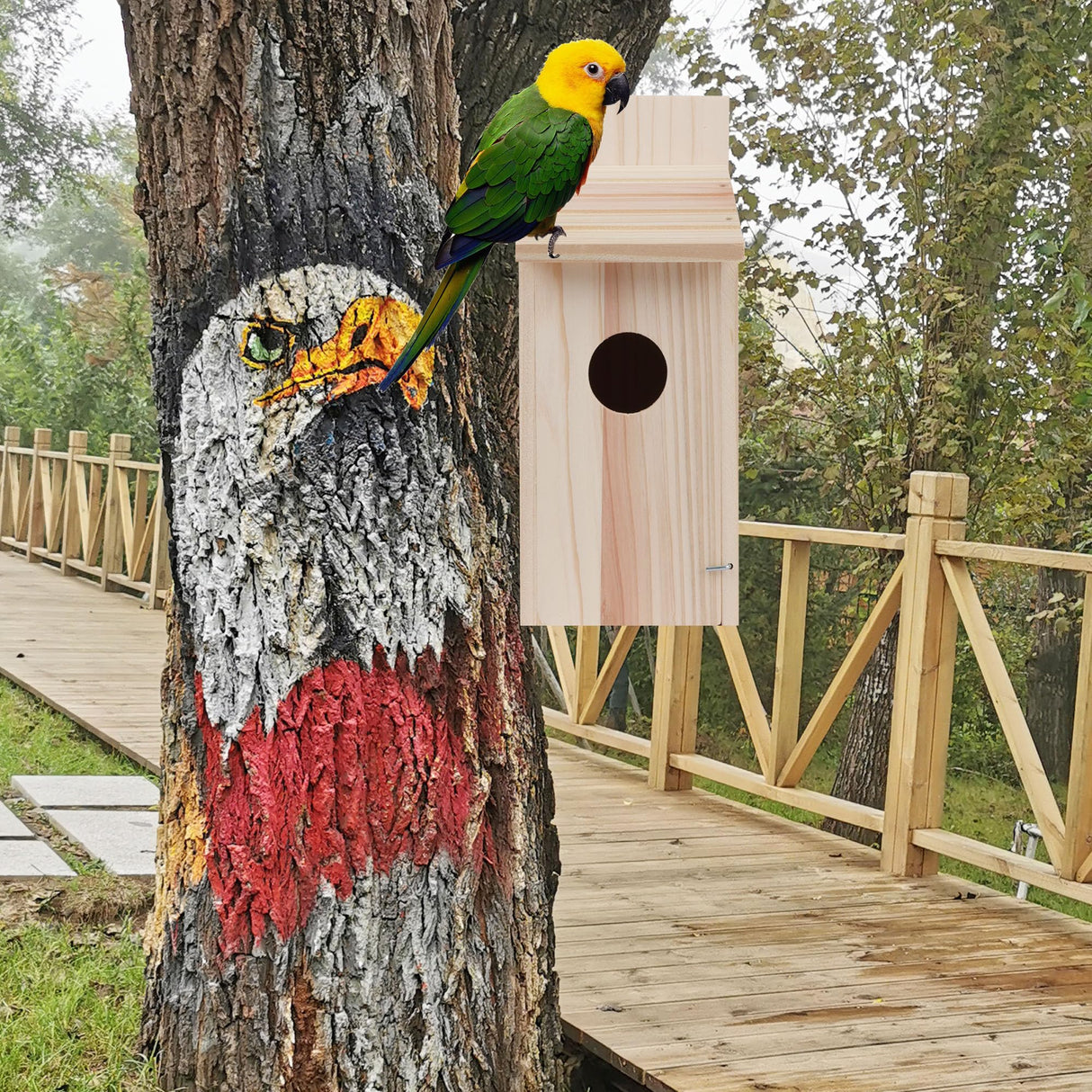 OceeK Natural Wooden Hummingbird Houses Cedar Blue Bird Box House Bird House Wooden Bird House Cedar Wren House Wood Bird Houses for Outside Hanging OceeK