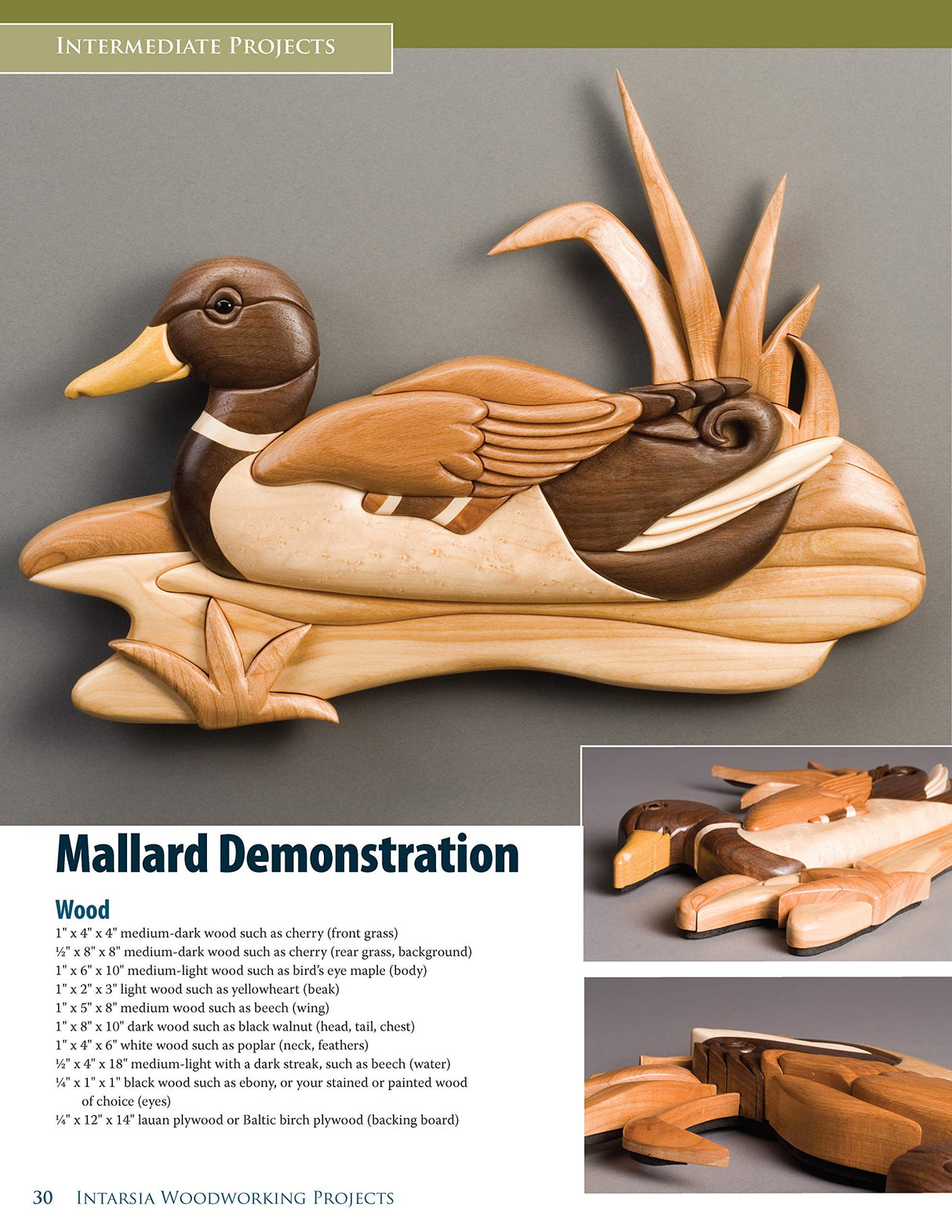 Intarsia Woodworking Projects: 21 Original Designs with Full-Size Plans and Expert Instruction for All Skill Levels (Fox Chapel Publishing) Learn How Fox Chapel Publishing