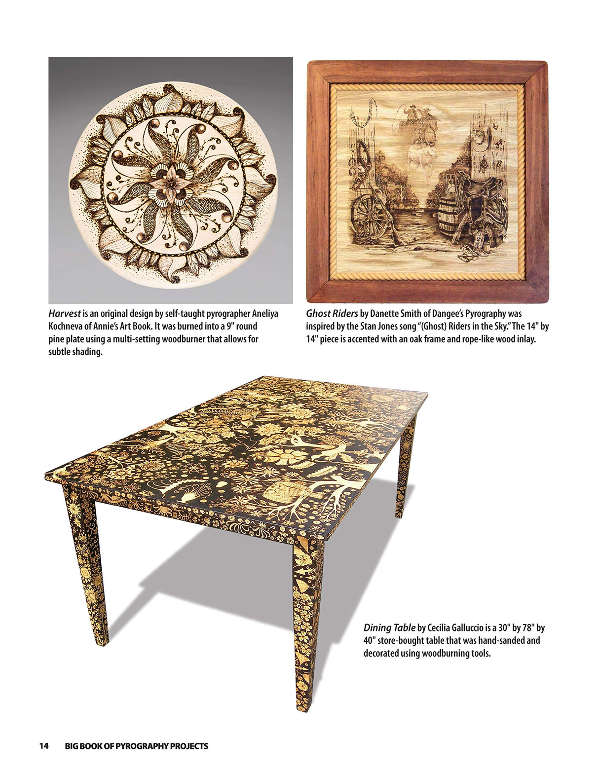 Big Book of Pyrography Projects: Expert Techniques and 23 All-Time Favorite Projects (Fox Chapel Publishing) Includes Beginner-Friendly Tips, Tricks, Design Originals