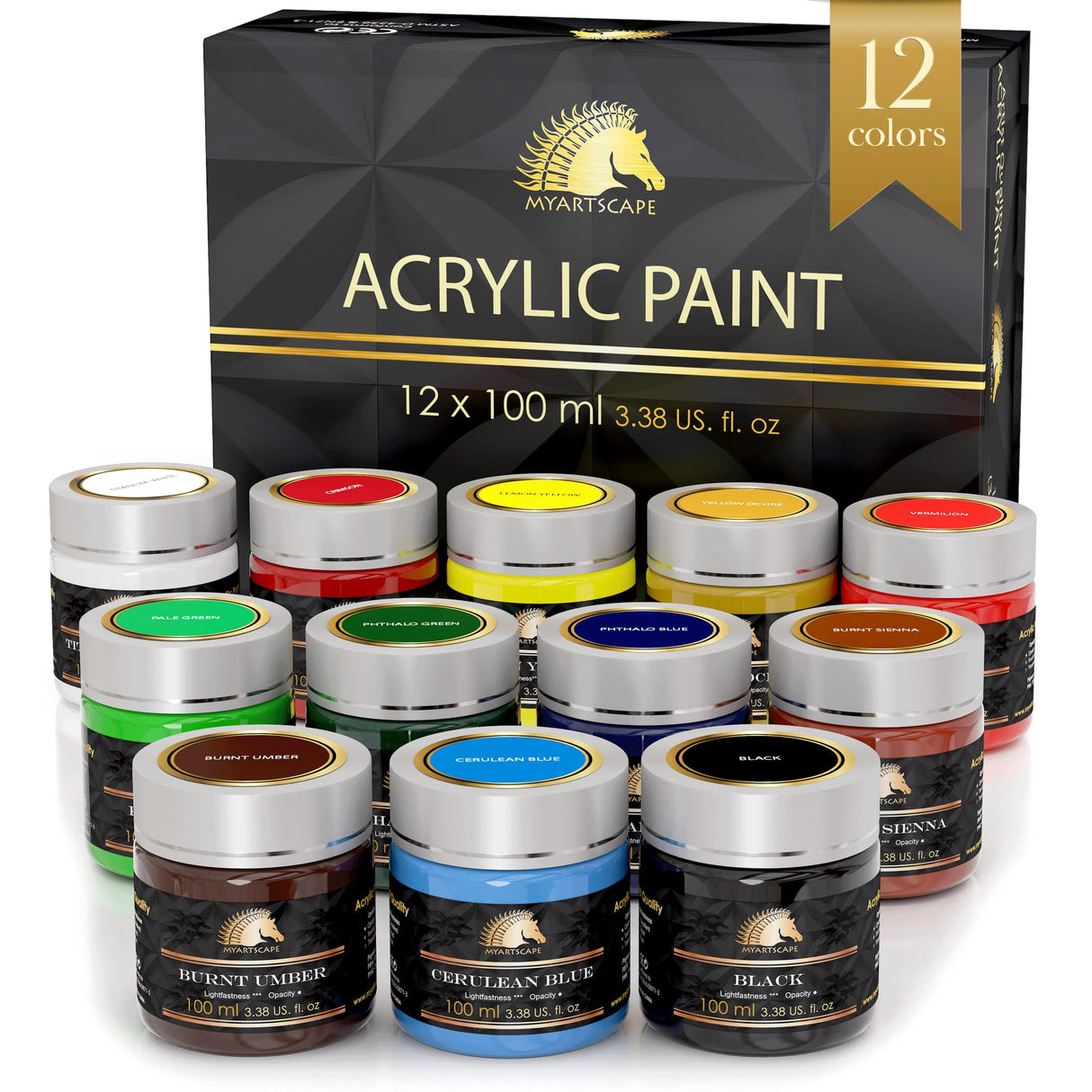 MyArtscape Acrylic Paint Set - 12 x 100ml Bottles - Artist Quality Paints - Lightfast - Heavy Body - Highly Pigmented Colors with Great Coverage - MyArtscape