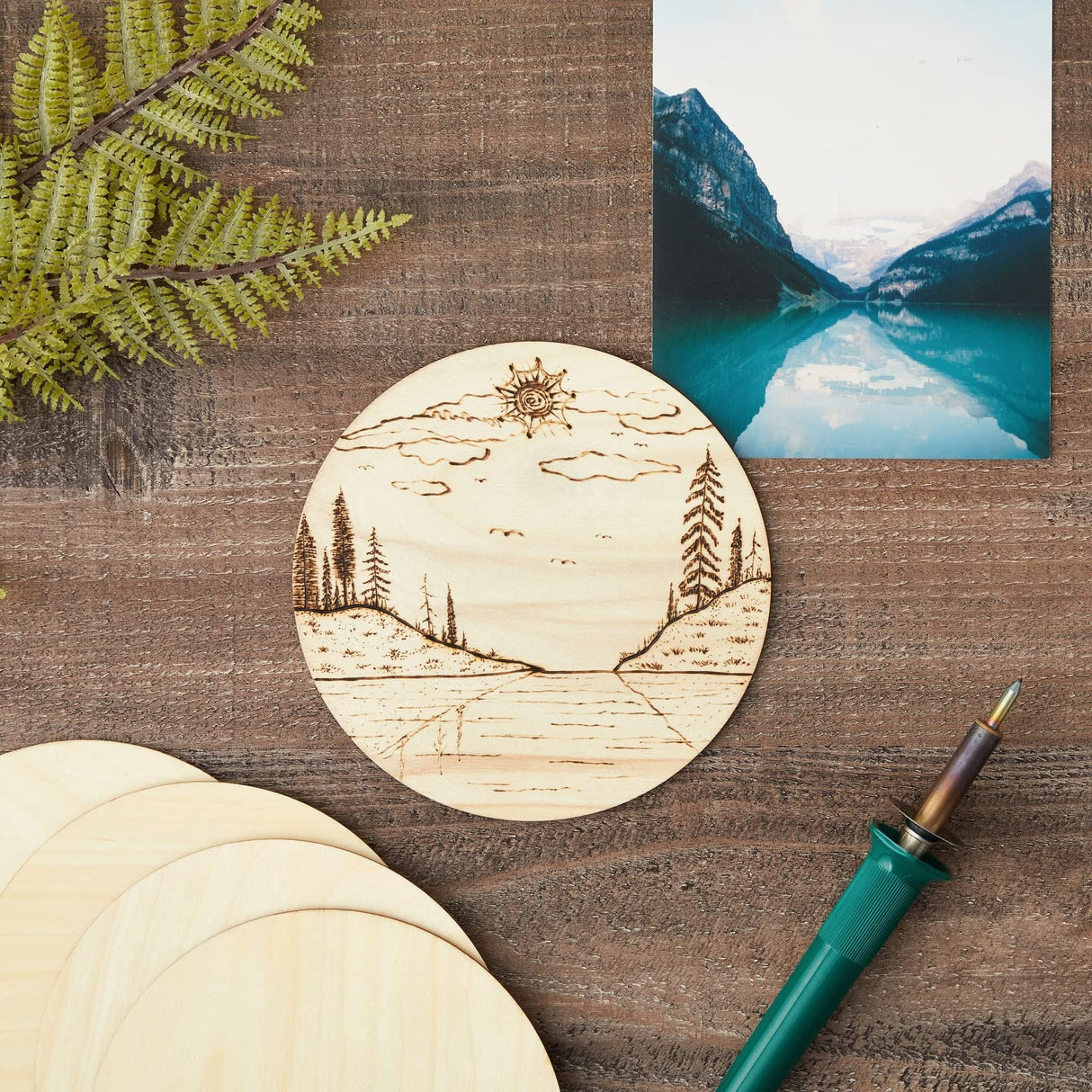 Juvale 12 Pack 6 Inch Unfinished Wood Circles for Crafts, Blank Cutout Slices for Wood Burning, Engraving, Round Wooden Discs for DIY Coasters, Art Juvale