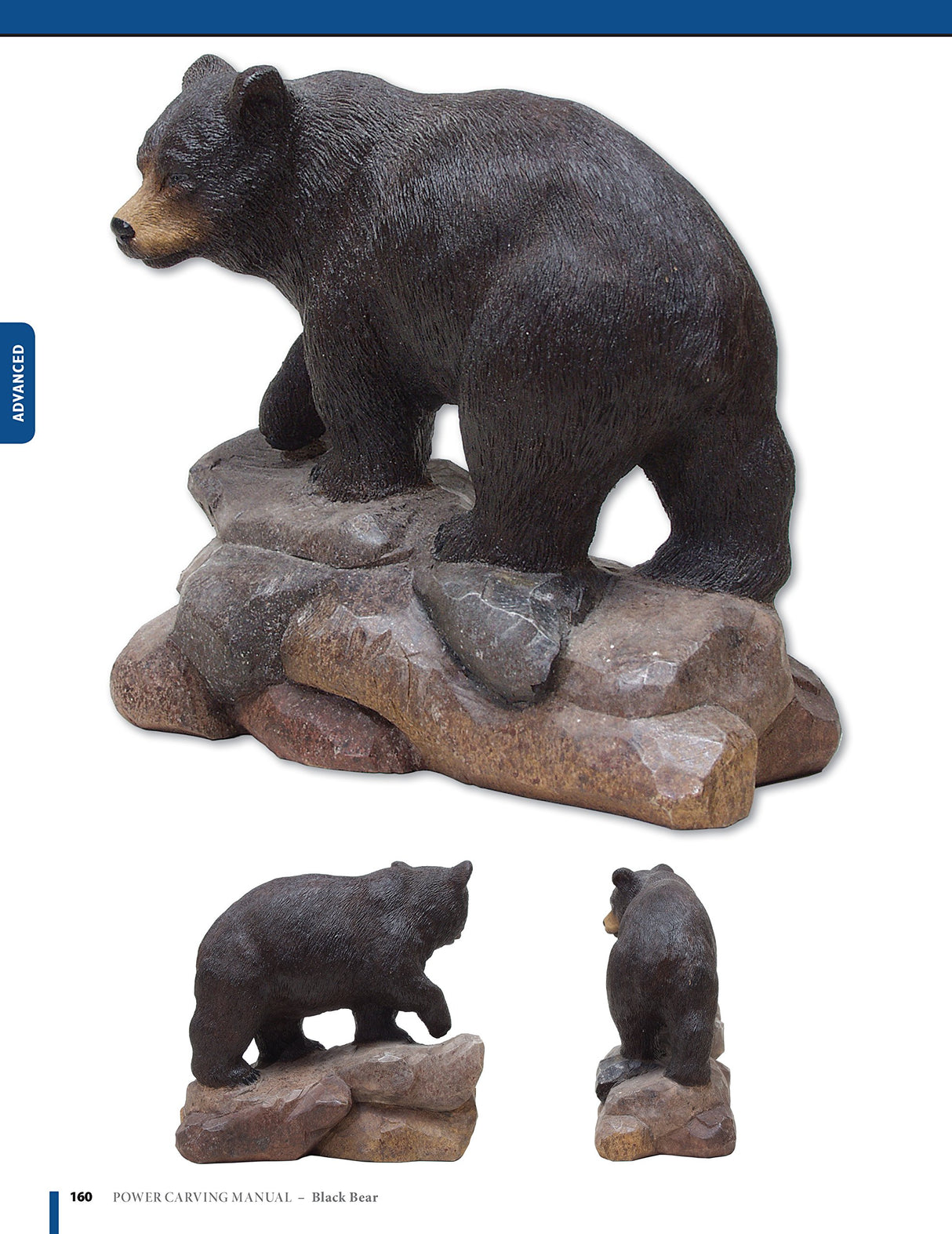 Power Carving Manual, Second Edition: Tools, Techniques, and 22 All-Time Favorite Projects (Fox Chapel Publishing) Step-by-Step Projects and Photos, Fox Chapel Publishing