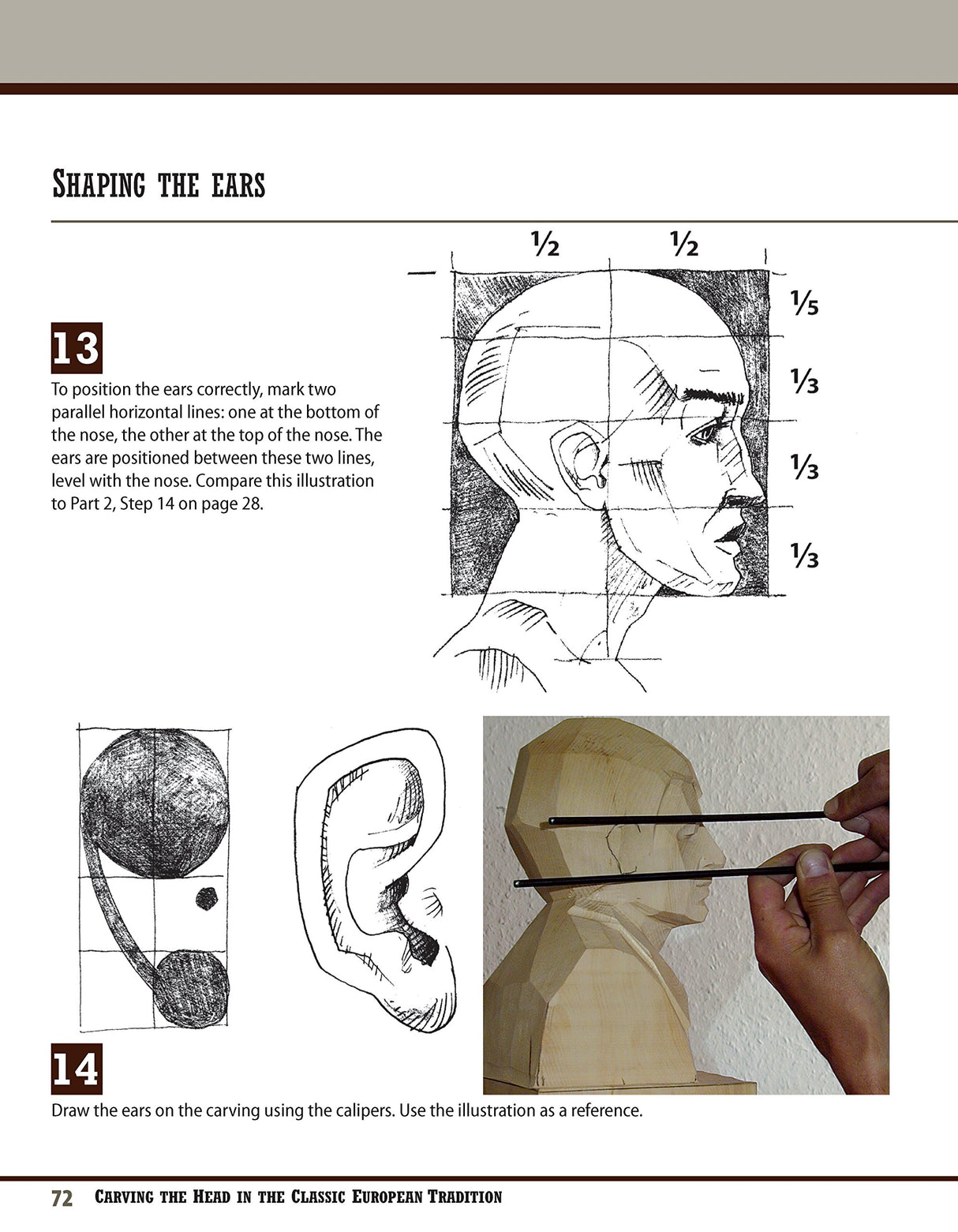 Carving the Head in the Classic European Tradition, Revised Edition: A Woodsculpting Course in Proportion and Design (Fox Chapel Publishing) Design Originals