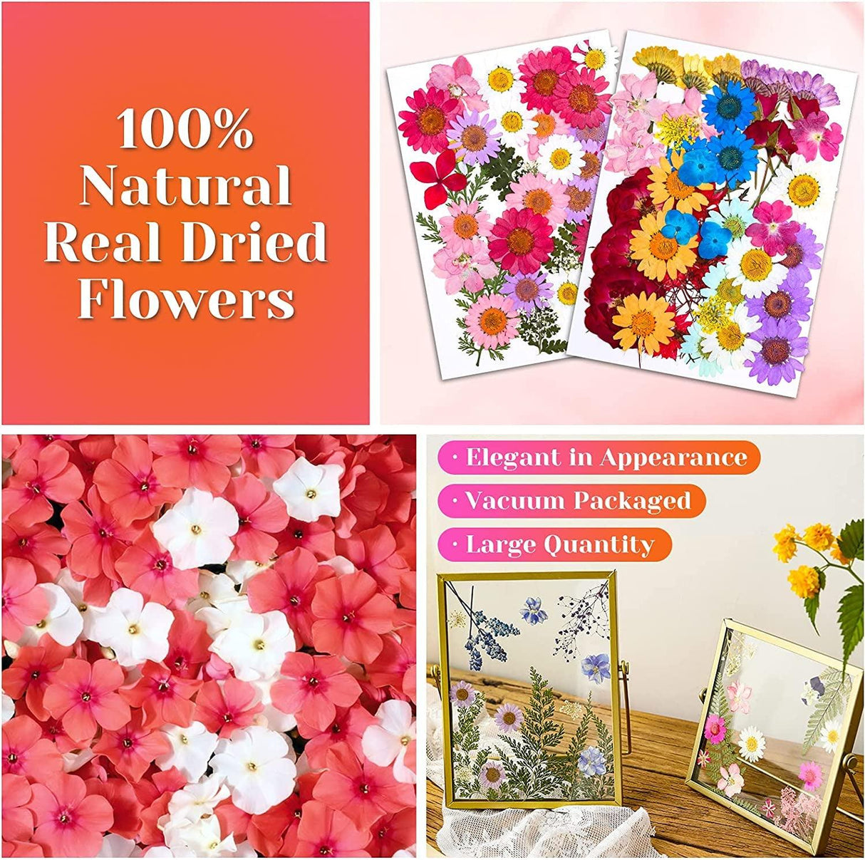 Real Dried Pressed Flowers for Resin, Natural Dry Flowers Leaves Bulk Herbs Kit for DIY Scrapbooking Stamping Supplies Epoxy Resin Jewelry Molds WoodArtSupply