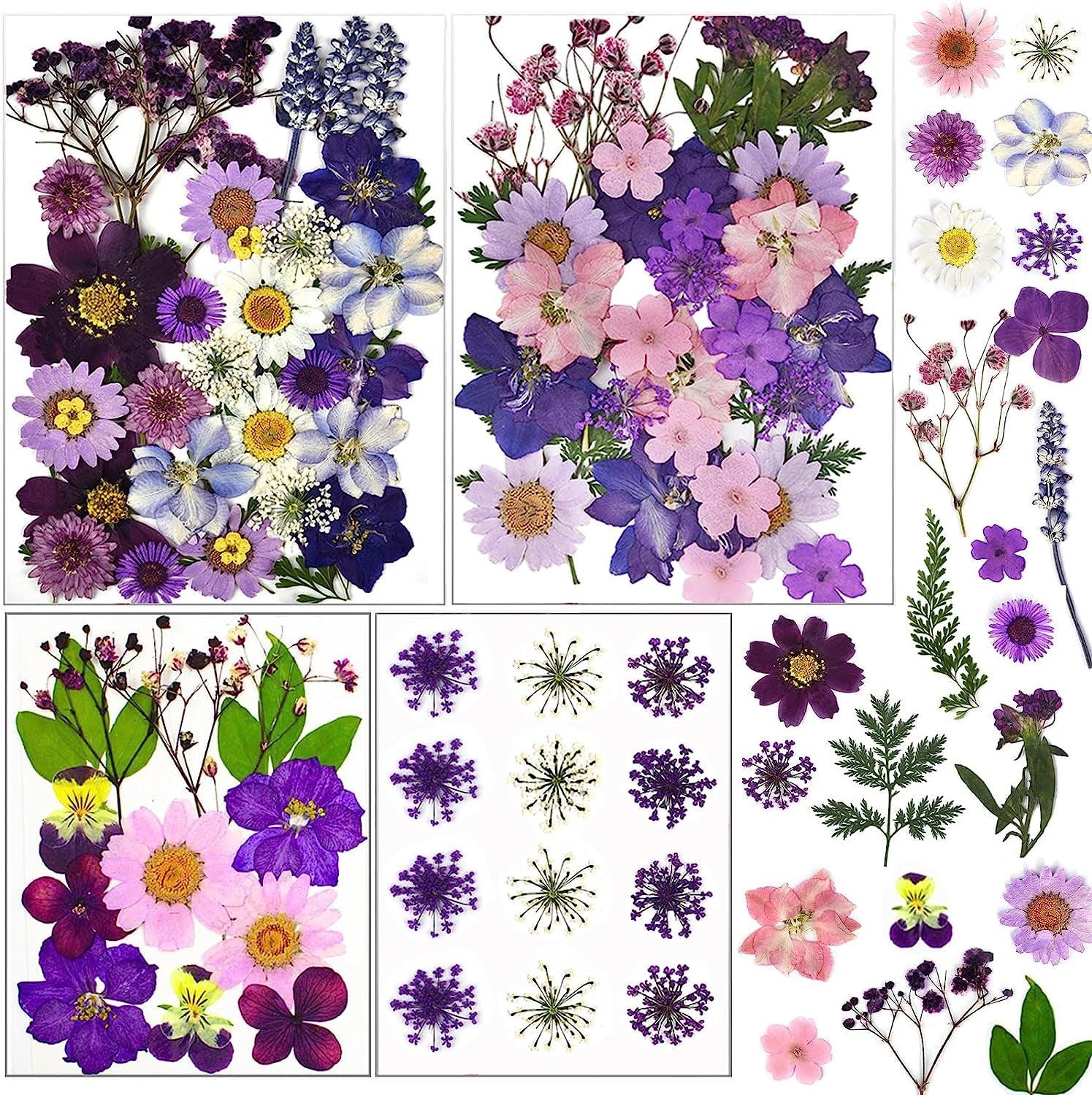 92 Pcs Purple Dried Pressed Flowers Real Natural Leave Petals for