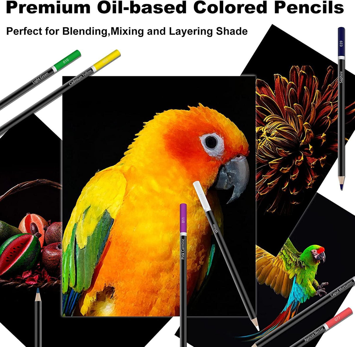 Colored Pencils for Adult Coloring Books, 72 Colored Professional Drawing Pencils, Art Supplies WoodArtSupply