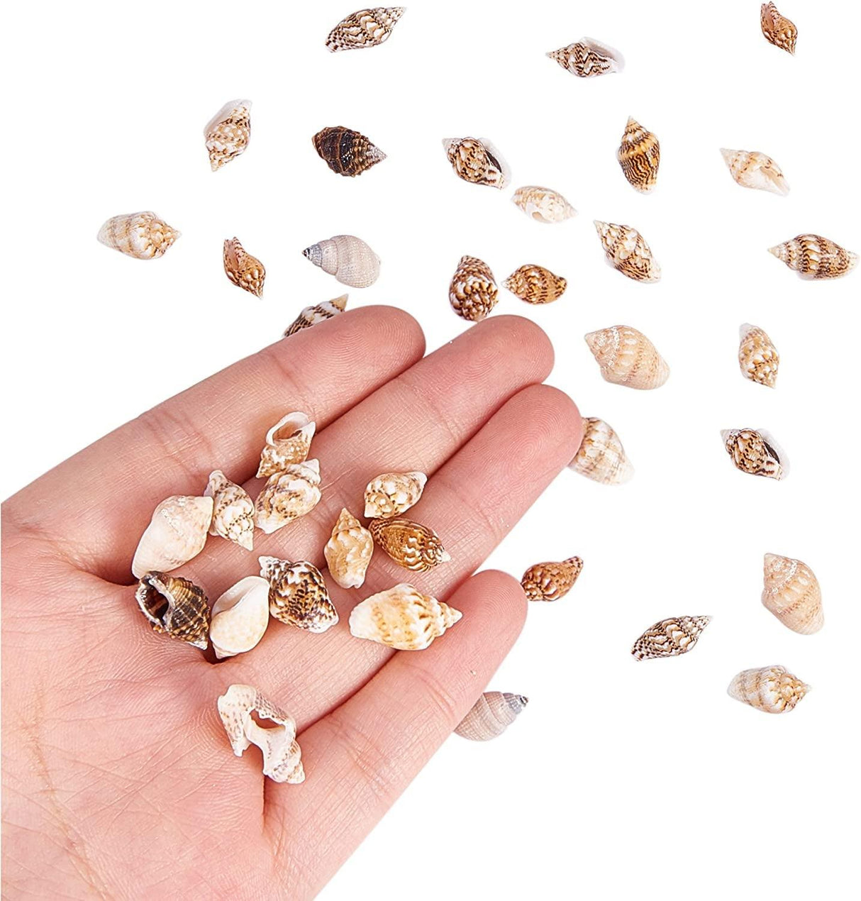 1400-1500Pcs Sea Shell Beads 7-12Mm Tiny Crushed Shells Miniature Shells NO Hole Seashells Ocean Spiral Seashells for Resin Candle Home Party Wedding WoodArtSupply