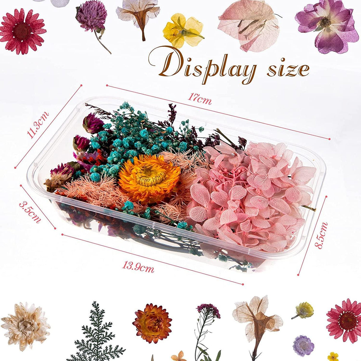 2 Random Boxes Pressed Flowers Dried Pressed Flowers for Resin Real Dried Flower Leaves Mixed Pressed Flower Colorful Real Dried Flower with Tweezers WoodArtSupply