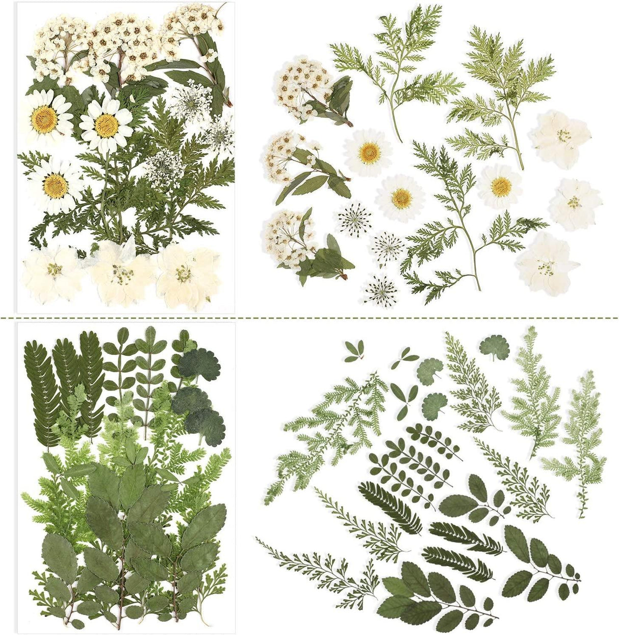 Pressed Flowers Resin Flowers for Resin Mold, Real Daisy Dried Flower Leaves Natural with Tweezers for Scrapbooking DIY Candle Accessories Jewelry WoodArtSupply