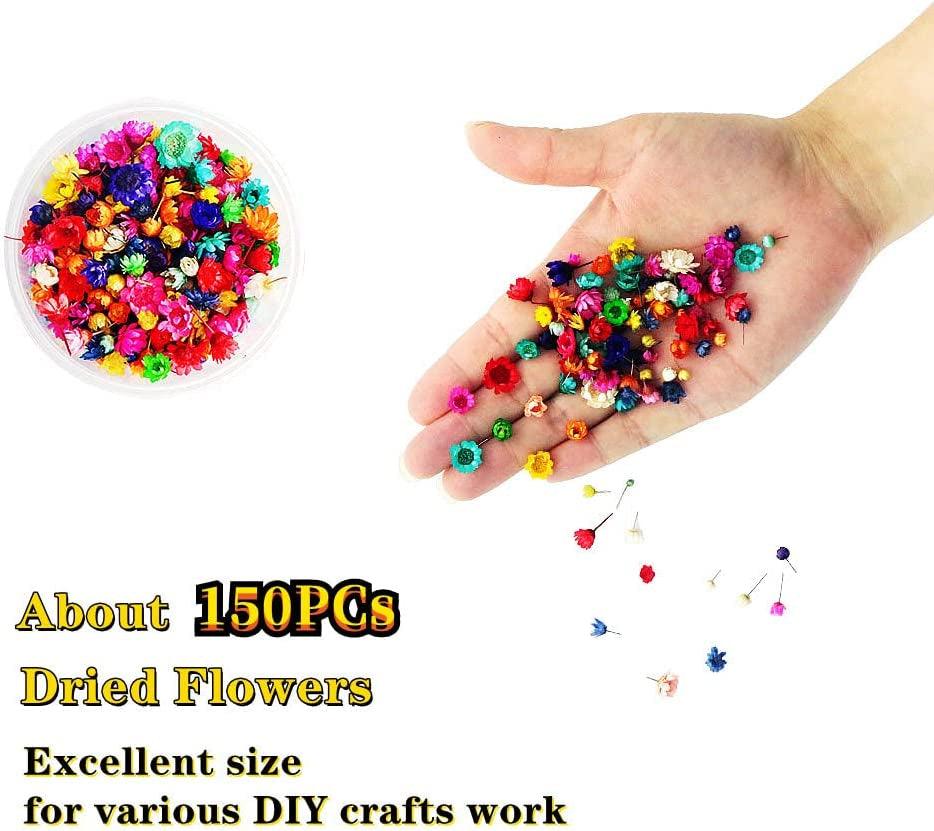 Cellluck Decoration Kit for Resin, Jewelry Making Supplies with Resin Glitters, Sequins, Fruit Slices and Dried Flowers for Resin Art, WoodArtSupply