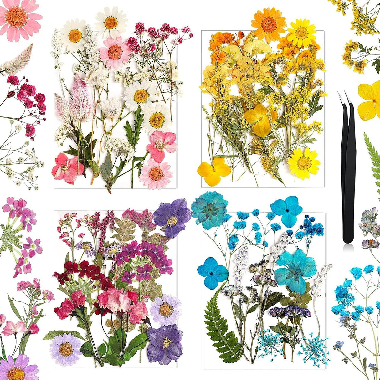 Pressed Flowers Resin Flowers for Resin Mold, Real Daisy Dried Flower Leaves Natural with Tweezers for Scrapbooking DIY Candle Accessories Jewelry WoodArtSupply