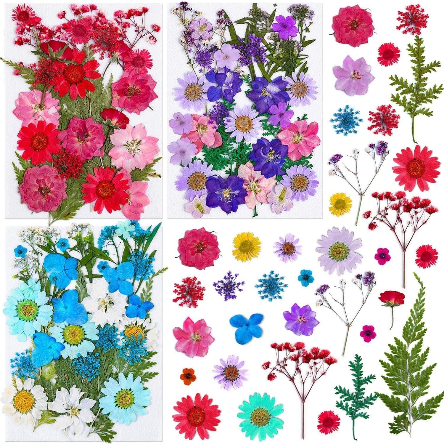 140 Pcs Dried Pressed Flowers for Resin Real Pressed Flowers Dry Leaves Bulk Natural Herbs Kit for Scrapbooking DIY Art Crafts Epoxy Resin Jewelry