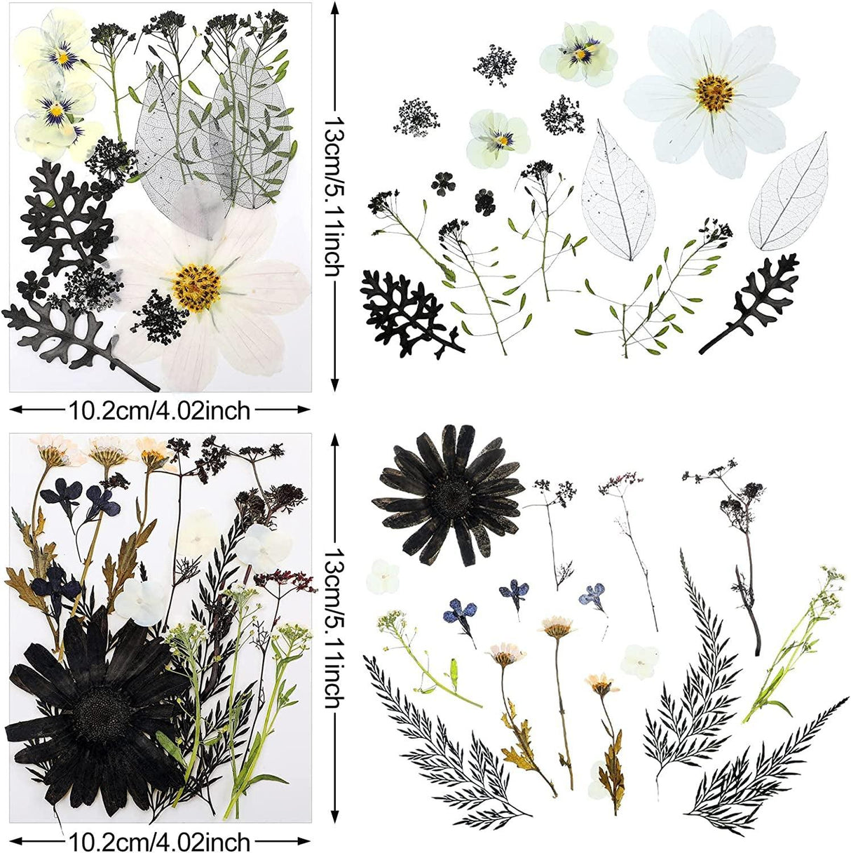 Pressed Flowers Resin Flowers for Resin Mold, Real Daisy Dried Flower Leaves Natural with Tweezers for Scrapbooking DIY Candle Accessories Jewelry WoodArtSupply