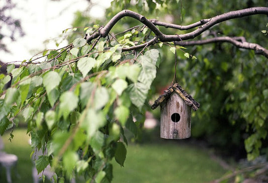 5 tips to building a better wooden bird house. - WoodArtSupply