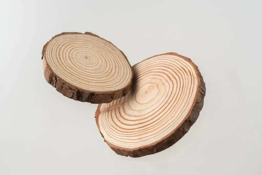 Other Wood Supplies - WoodArtSupply