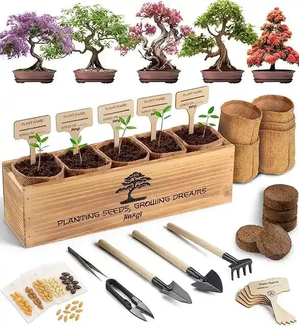 Bonsai Starter kits - WoodArtSupply