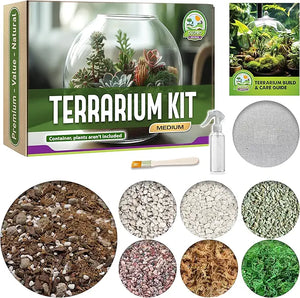 Terrarium DIY Starter Kits