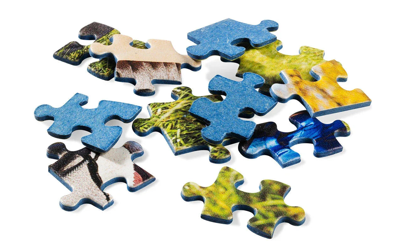 Jigsaw Puzzles - WoodArtSupply
