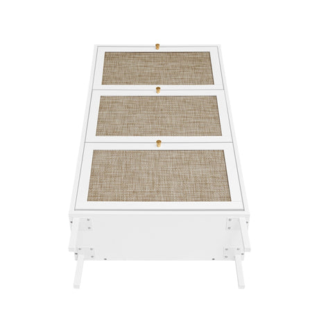 Modern Rattan 3 Door Shoe Rack Cabinet for Entryway HouseOfZazla