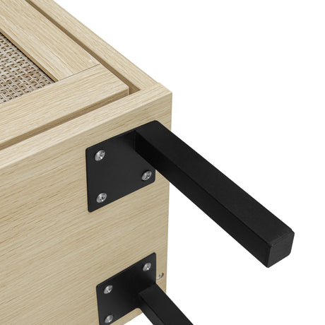 Modern Rattan 3 Door Shoe Rack Cabinet for Entryway HouseOfZazla