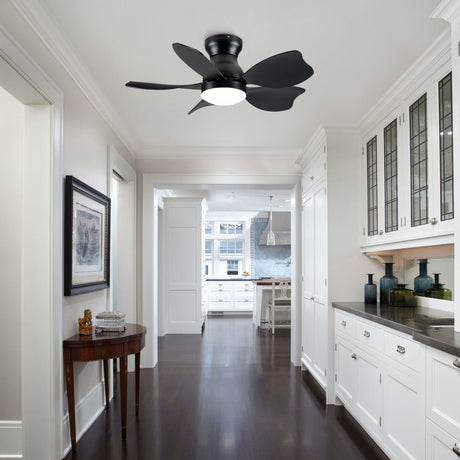 Low Profile Flush Mount Ceiling Fan With Light HouseOfZazla