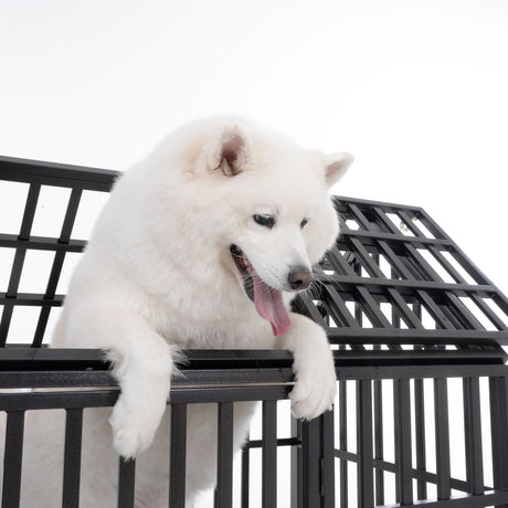 Heavy Duty Dog Crate Lockable Wheels HouseOfZazla