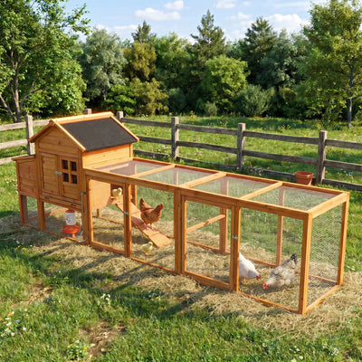 Large Chicken Coop with Nest Box and Run