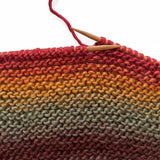 (1 Skein) Lion Brand Yarn Landscapes Yarn, Boardwalk Lion Brand Yarn