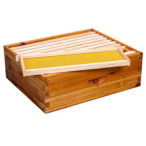 10-Frame Beehive Box Langstroth Medium Super Bee Box for Sale Wax Coated Bee Hives Includes Wooden Frames & Waxed Foundations (Assembled) MayBee