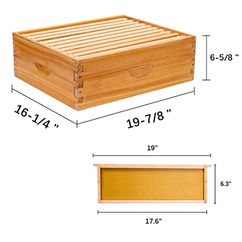 10-Frame Beehive Box Langstroth Medium Super Bee Box for Sale Wax Coated Bee Hives Includes Wooden Frames & Waxed Foundations (Assembled) MayBee