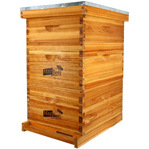 10-Frame Langstroth Beehive Dipped in 100% Beeswax, Complete Bee Hives and Supplies Starter Kit Includes 2 Deep Hive Bee Box and 1 Bee Hive Super with Beehive Frames and Foundation MayBee