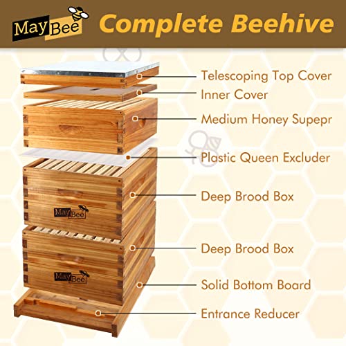 10-Frame Langstroth Beehive Dipped in 100% Beeswax, Complete Bee Hives and Supplies Starter Kit Includes 2 Deep Hive Bee Box and 1 Bee Hive Super with Beehive Frames and Foundation MayBee