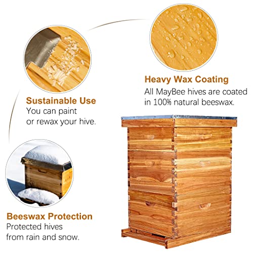 10-Frame Langstroth Beehive Dipped in 100% Beeswax, Complete Bee Hives and Supplies Starter Kit Includes 2 Deep Hive Bee Box and 1 Bee Hive Super with Beehive Frames and Foundation MayBee