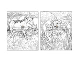 100 Wildlife Scenes: An Adult Coloring Book Featuring 100 Most Beautiful Wildlife Scenes with Animals, Birds and Flowers from Oceans, Jungles, Forests and Savannas WoodArtSupply
