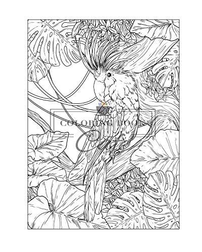 100 Wildlife Scenes: An Adult Coloring Book Featuring 100 Most Beautiful Wildlife Scenes with Animals, Birds and Flowers from Oceans, Jungles, Forests and Savannas WoodArtSupply