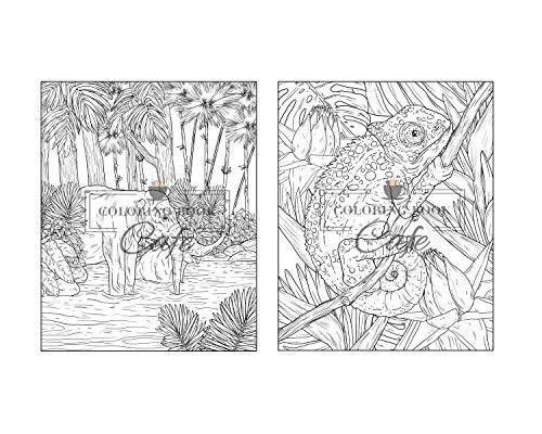 100 Wildlife Scenes: An Adult Coloring Book Featuring 100 Most Beautiful Wildlife Scenes with Animals, Birds and Flowers from Oceans, Jungles, Forests and Savannas WoodArtSupply