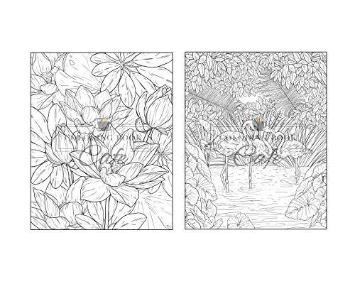 100 Wildlife Scenes: An Adult Coloring Book Featuring 100 Most Beautiful Wildlife Scenes with Animals, Birds and Flowers from Oceans, Jungles, Forests and Savannas WoodArtSupply