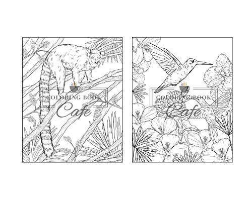 100 Wildlife Scenes: An Adult Coloring Book Featuring 100 Most Beautiful Wildlife Scenes with Animals, Birds and Flowers from Oceans, Jungles, Forests and Savannas WoodArtSupply