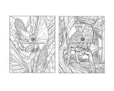 100 Wildlife Scenes: An Adult Coloring Book Featuring 100 Most Beautiful Wildlife Scenes with Animals, Birds and Flowers from Oceans, Jungles, Forests and Savannas WoodArtSupply