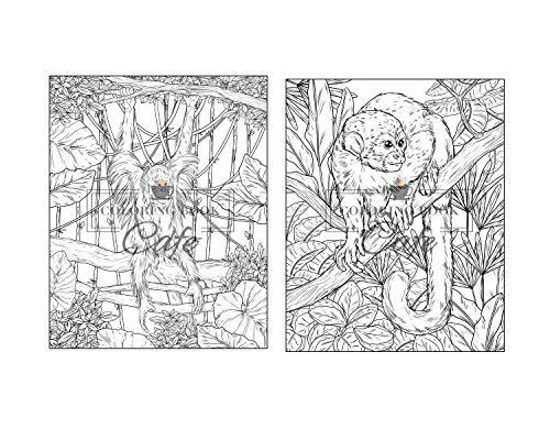 100 Wildlife Scenes: An Adult Coloring Book Featuring 100 Most Beautiful Wildlife Scenes with Animals, Birds and Flowers from Oceans, Jungles, Forests and Savannas WoodArtSupply