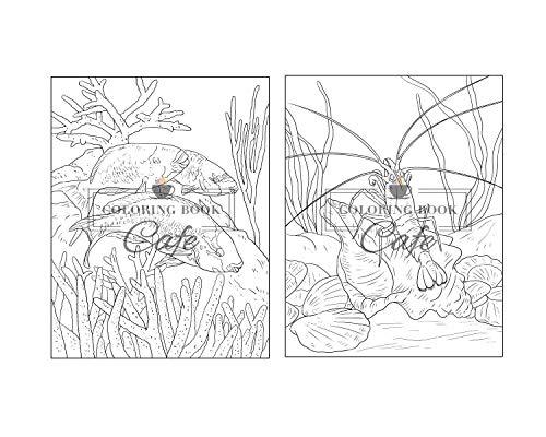 100 Wildlife Scenes: An Adult Coloring Book Featuring 100 Most Beautiful Wildlife Scenes with Animals, Birds and Flowers from Oceans, Jungles, Forests and Savannas WoodArtSupply