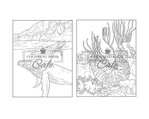 100 Wildlife Scenes: An Adult Coloring Book Featuring 100 Most Beautiful Wildlife Scenes with Animals, Birds and Flowers from Oceans, Jungles, Forests and Savannas WoodArtSupply