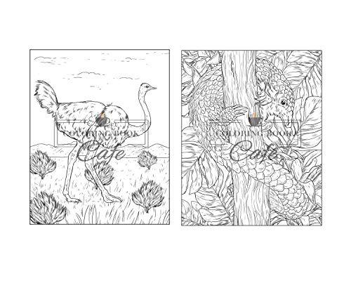100 Wildlife Scenes: An Adult Coloring Book Featuring 100 Most Beautiful Wildlife Scenes with Animals, Birds and Flowers from Oceans, Jungles, Forests and Savannas WoodArtSupply
